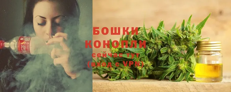 дарк нет наркотические препараты  Барабинск  МАРИХУАНА SATIVA & INDICA 